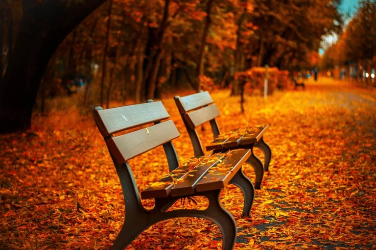 Introvert and Chronic Illness: The Overlapping Challenges