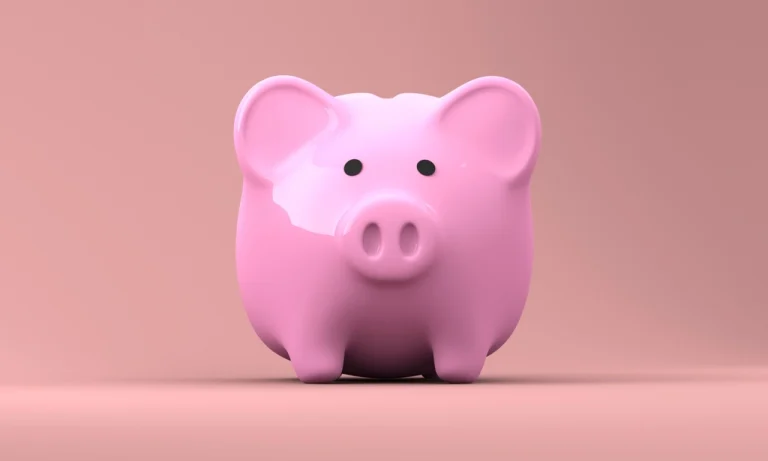 Introvert and Financial Planning: A Natural Fit