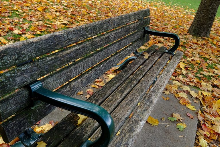 Introvert Spending: Alone vs Social Costs Explained