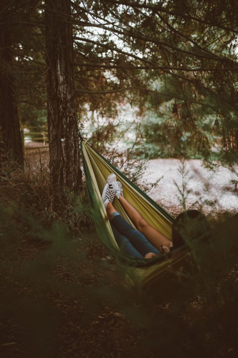 Myers-Briggs Introvert Types: Complete Guide